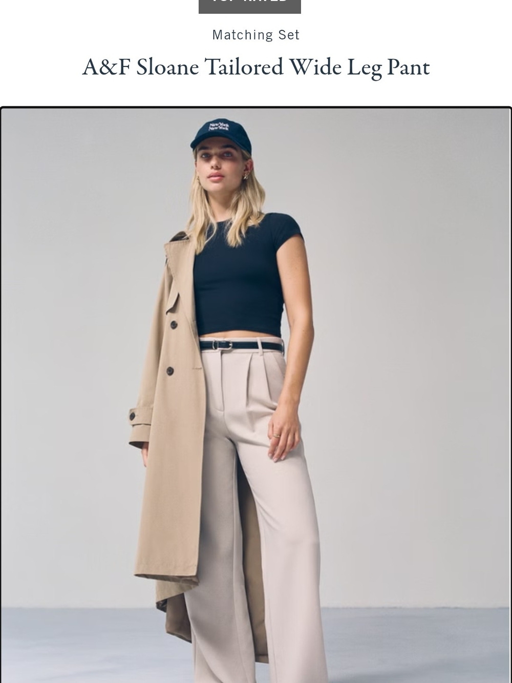 Abercrombie Sloane Tailored Wide-Leg Pant, Taupe Size 26P. Sold Out Online!